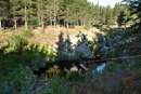 Mountain rescue training exercise at Steenbras Dam, Hottentots Holland