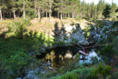 Mountain rescue training exercise at Steenbras Dam, Hottentots Holland