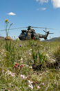 MCSA-SAAF field training exercise Dec 2006